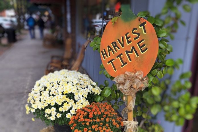 Harvest Sidewalk Sale on Main Street