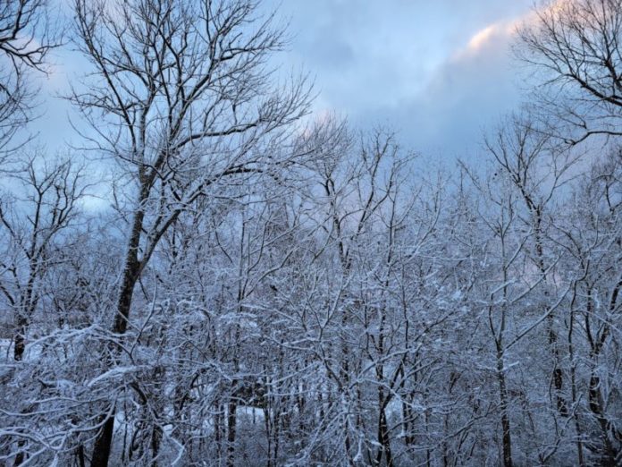 michael-c-snow-e1641219187898-2