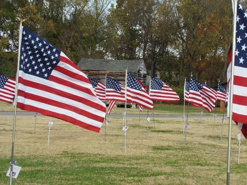 American flags line Hendersonville's Main Street in honor of veterans