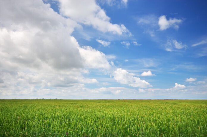 Lawn and cloudy sky.