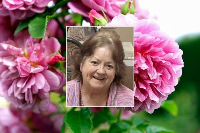 Lynda-Jean-VanTassel