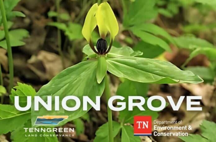 Union-Grove-Cover-TennGreen