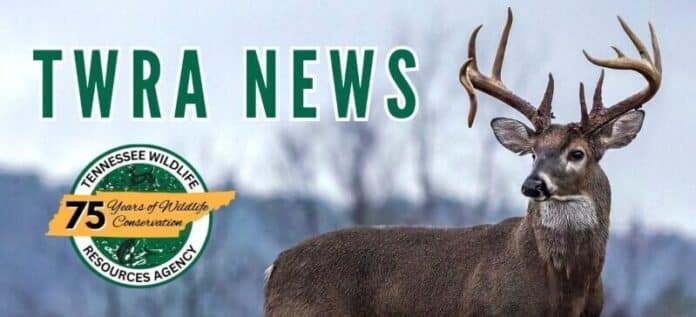 twra-news-1