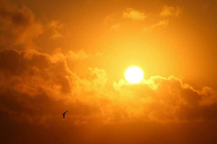 sunrise stock photo