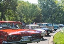 Cheekwood Unveils Summer Activities