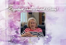 Elizabeth Jane Herstek (Libby) Obit