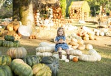 Cheekwood Harvest Begins in September
