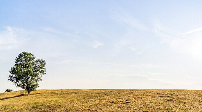 11/30/25: Clear Skies and 39.9°F, High 43.5°F with Light Drizzle Expected