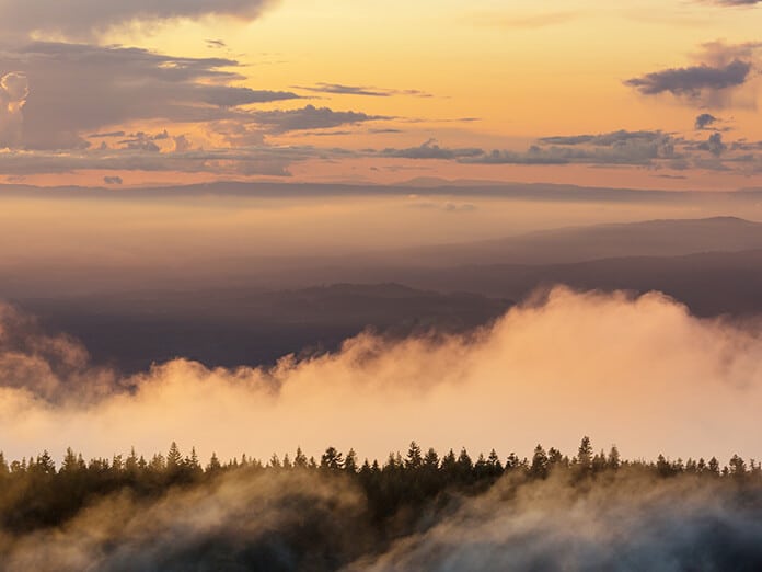 fognight3
