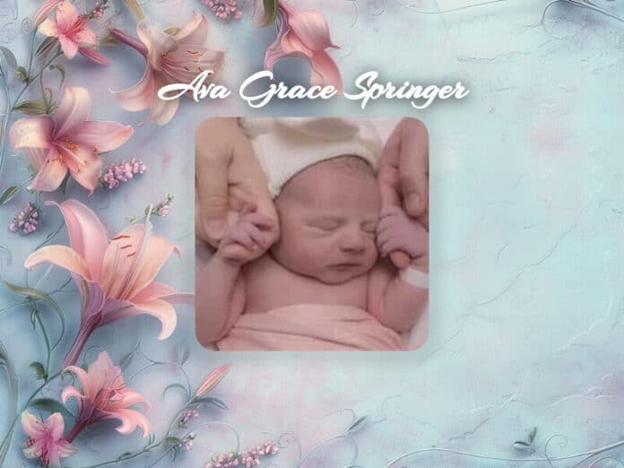 Ava Grace Springer Obit