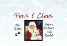 Capture a Paw-sitively Festive Memory at Paws & Claus: Dog Pictures with Santa at Riverbluff Park Paws-Claus