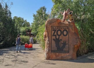 Nashville Zoo Adds Seven New Board Members