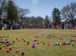 Join Cheekwood Estate & Gardens for Great Spring Art Hop