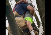 Ashland City Firefighters Rescue Child Stuck In Tree