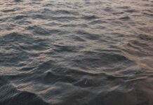 Body Found in Old Hickory Lake in Hendersonville