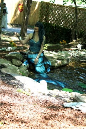 tennessee renaissance festival 2026