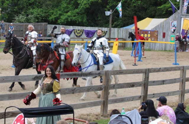 tennessee renaissance festival 2026