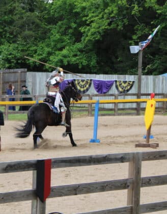 tennessee renaissance festival 2026