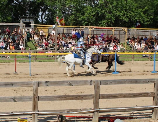 tennessee renaissance festival 2026