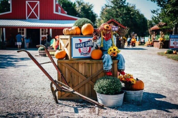 Lucky-Ladd-Farms-Sign Lucky-Ladd-Farms-Sign
