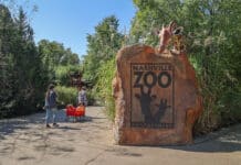 Metro Council Approves Data Center Limits After Zoo Pushback