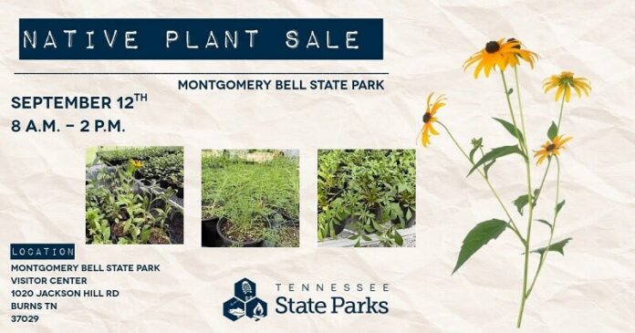 Montgomery-Bell-State-Park-Native-Plant-Sale