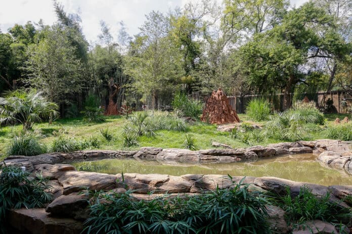 Nashville Zoo_44b0a37225_c
