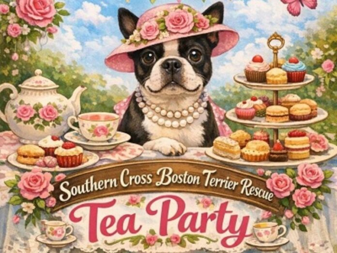 Southern-Cross-Boston-Tea-Party