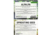Alfalfa Sprouting Seed Recalled Over E. Coli, Salmonella Risk