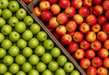 Retail Food Health Scores for Cheatham County Sept. 11, 2026 apples retail food health scores