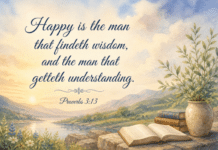 Daily Devotional: The Joy of Wisdom and Understanding Devotional image for Proverbs 3:13