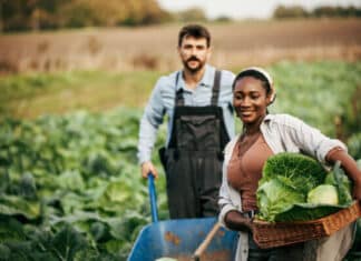 MTSU Receives Grant To Expand Farmer Mental Health Resources