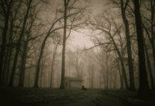 13 Stories of the Weird and the Haunted in Middle Tennessee