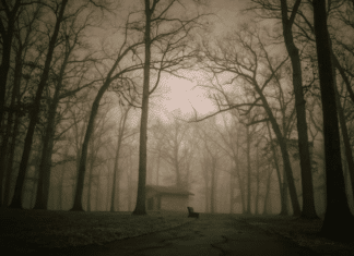 13 Stories of the Weird and the Haunted in Middle Tennessee