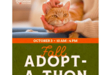Petsense by Tractor Supply Hosting Fall Adoptathon With Goal of 1,200 Pet Adoptions