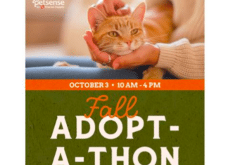Petsense by Tractor Supply Hosting Fall Adoptathon With Goal of 1,200 Pet Adoptions