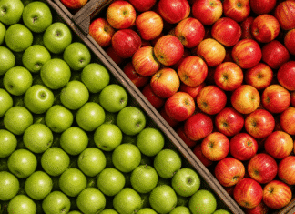 Retail Food Health Scores for Cheatham County October 13, 2026 apples retail food health scores