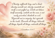 Daily Devotional: The Depths of True Love Devotional image for 1 Corinthians 13:4-7