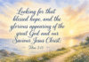 Daily Devotional: Embracing Hope in Every Season Devotional image for Titus 2:13