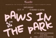 Unleash the Fun: Paws in the Park Returns to Kingston Springs Dog Park paws in the park 2026