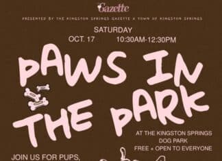 Unleash the Fun: Paws in the Park Returns to Kingston Springs Dog Park paws in the park 2026