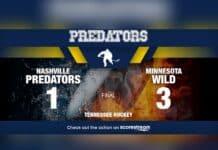 Predators Fall 3-1 to Wild in Season Opener preds